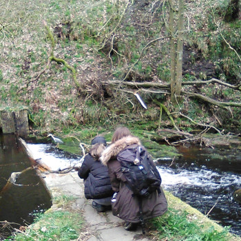 Out in the Yorkshire Dales